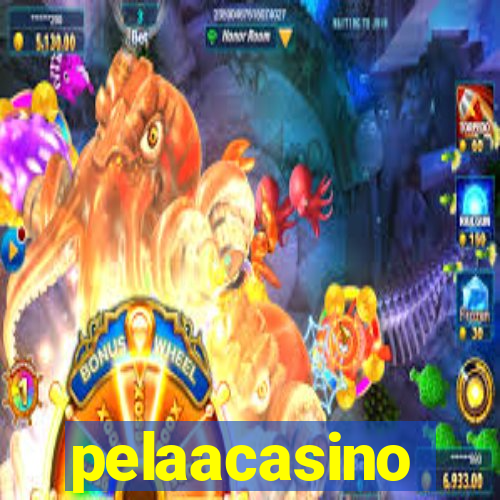 pelaacasino