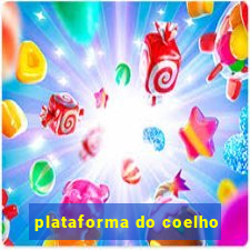 plataforma do coelho