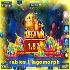 rabies t lagomorph