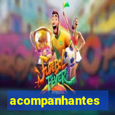 acompanhantes masculino pvh