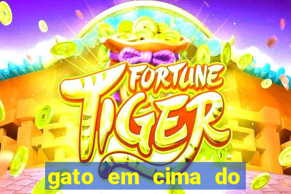 gato em cima do telhado significado espiritual