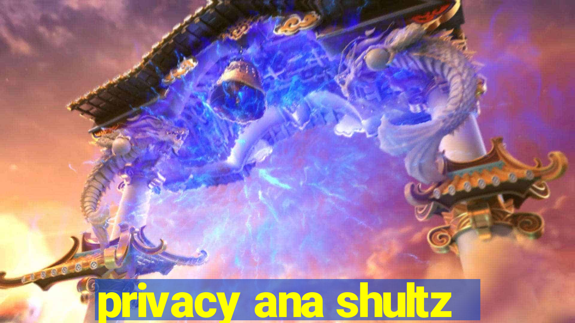 privacy ana shultz