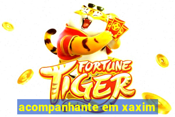 acompanhante em xaxim