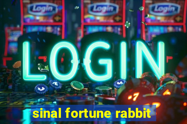 sinal fortune rabbit