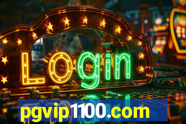 pgvip1100.com