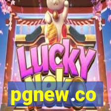 pgnew.co