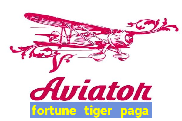 fortune tiger paga de madrugada