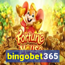 bingobet365