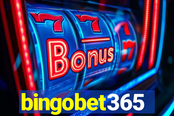 bingobet365