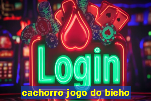 cachorro jogo do bicho