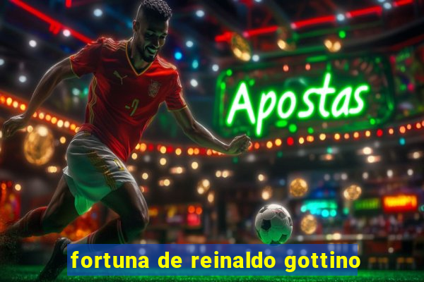 fortuna de reinaldo gottino