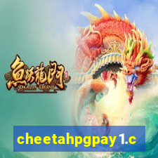 cheetahpgpay1.com