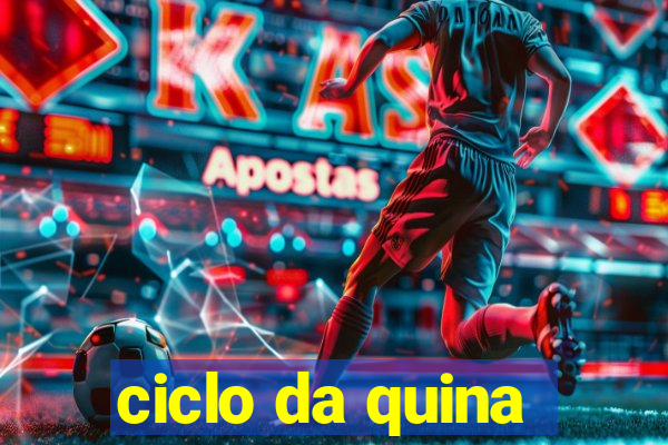 ciclo da quina