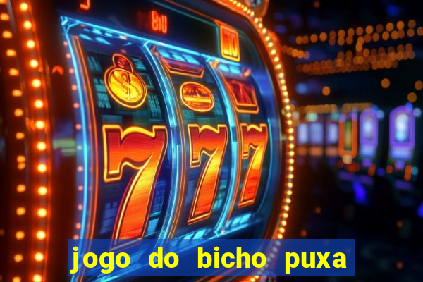 jogo do bicho puxa de dona maria