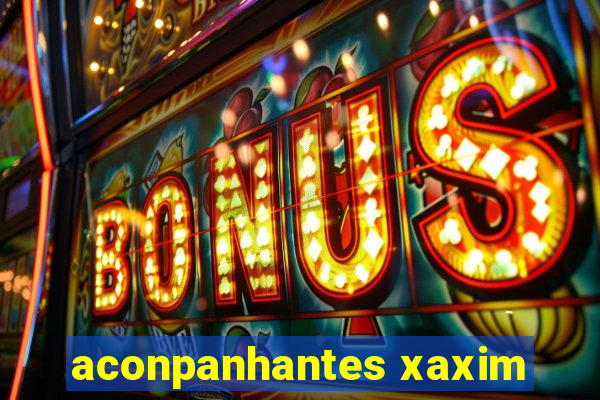 aconpanhantes xaxim