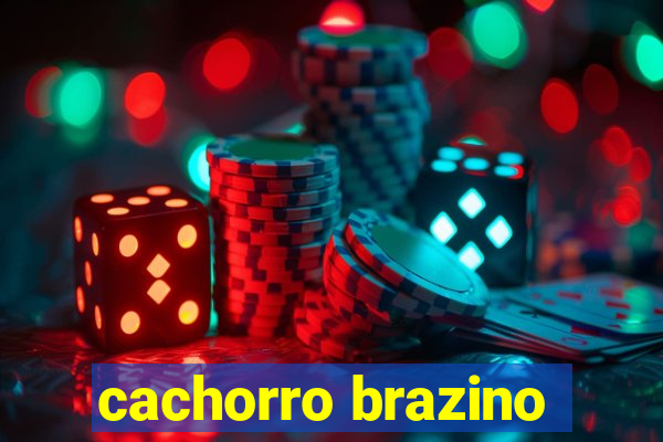 cachorro brazino