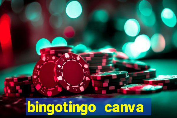 bingotingo canva pro gratis