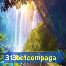 313betcompaga