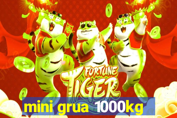 mini grua 1000kg