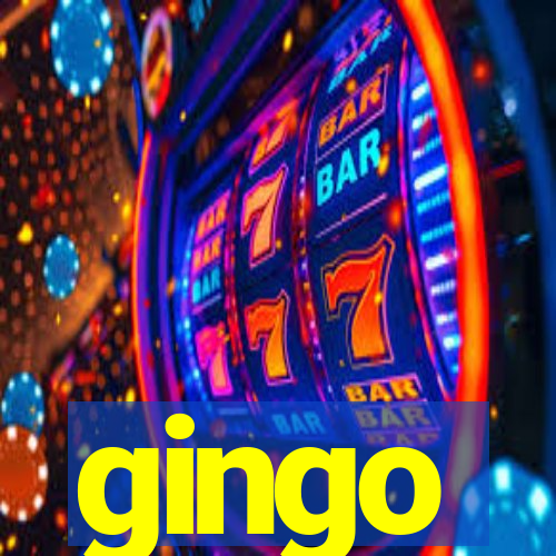 gingo