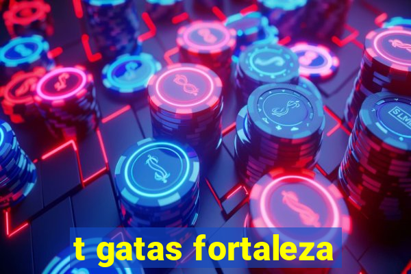 t gatas fortaleza