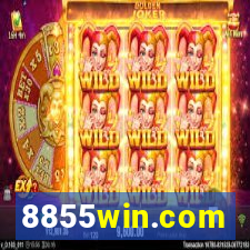 8855win.com