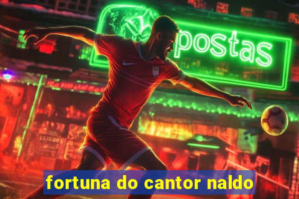 fortuna do cantor naldo