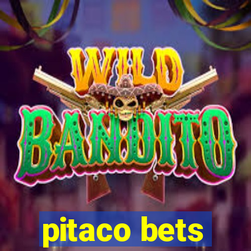 pitaco bets