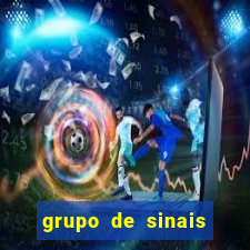 grupo de sinais fortune rabbit