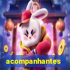acompanhantes cruzeiro df