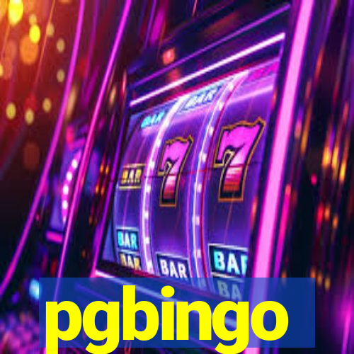 pgbingo