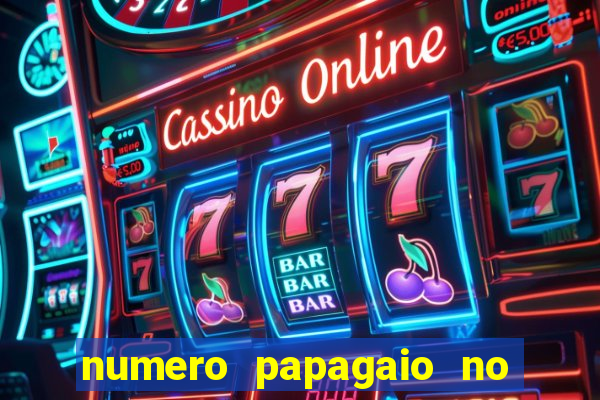 numero papagaio no jogo do bicho