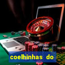 coelhinhas do brasil jp