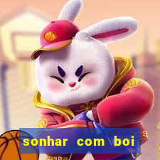 sonhar com boi branco jogo do bicho