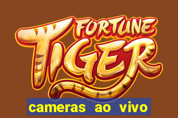 cameras ao vivo beto carrero
