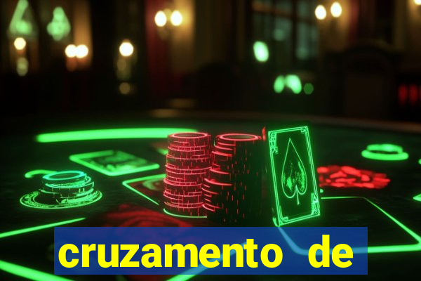 cruzamento de cavalo com mula