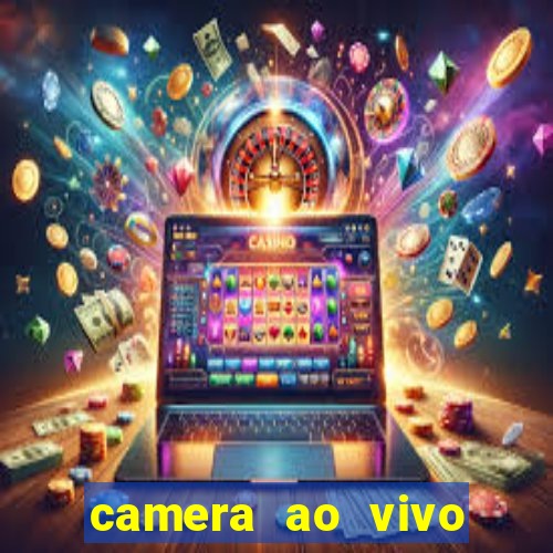 camera ao vivo beto carrero