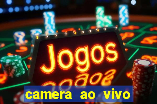 camera ao vivo beto carrero