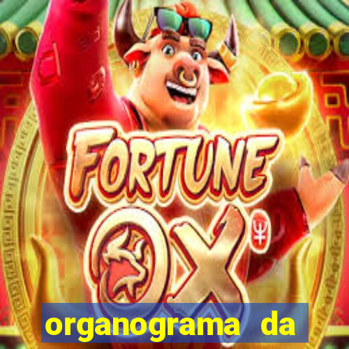 organograma da cacau show