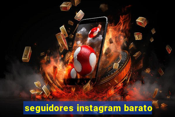 seguidores instagram barato