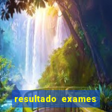 resultado exames unimed poa
