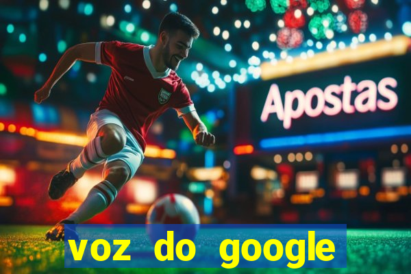 voz do google tradutor homem