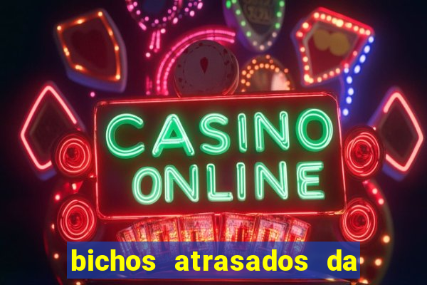 bichos atrasados da loteria federal