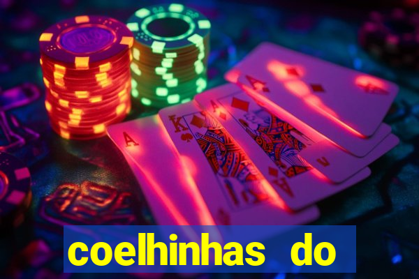 coelhinhas do brasil acompanhantes