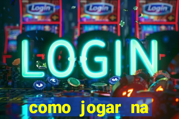 como jogar na lotinha do jogo do bicho
