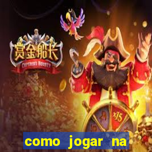 como jogar na lotinha do jogo do bicho