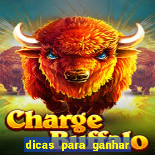 dicas para ganhar no jogo aviator