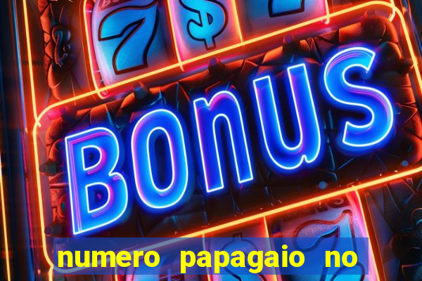 numero papagaio no jogo do bicho