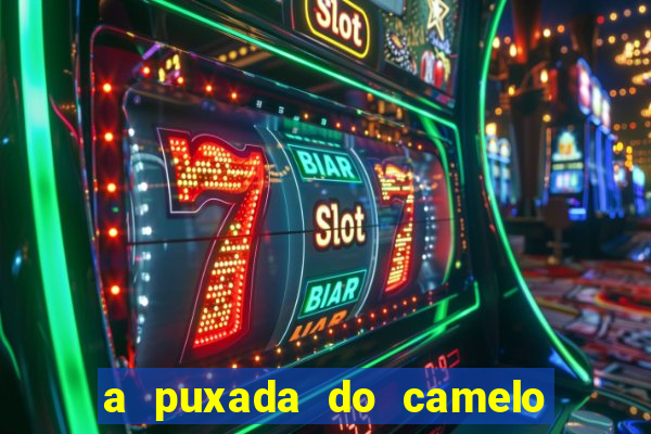 a puxada do camelo no jogo do bicho