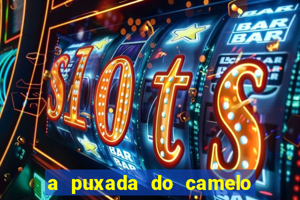 a puxada do camelo no jogo do bicho